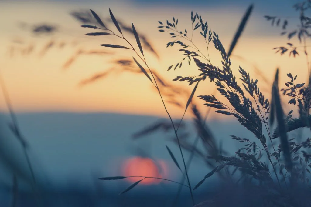 naturopathie